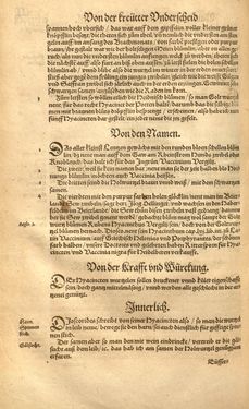 Image of the Page - (00000578) - in Kreütter Buch - Darinn Underscheidt, Namen vnnd Würckung der Kreutter, Stauden, Hecken vnnd Beumen, sampt jhren Früchten, so inn Deutschen Landen wachsen