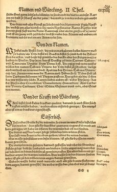 Image of the Page - 314 - in Kreütter Buch - Darinn Underscheidt, Namen vnnd Würckung der Kreutter, Stauden, Hecken vnnd Beumen, sampt jhren Früchten, so inn Deutschen Landen wachsen