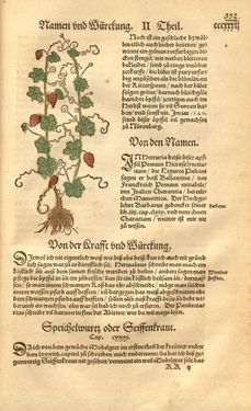 Image of the Page - 332 - in Kreütter Buch - Darinn Underscheidt, Namen vnnd Würckung der Kreutter, Stauden, Hecken vnnd Beumen, sampt jhren Früchten, so inn Deutschen Landen wachsen