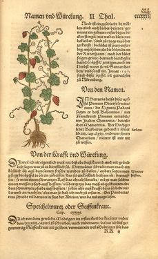 Bild der Seite - 332 - in Kreütter Buch - Darinn Underscheidt, Namen vnnd Würckung der Kreutter, Stauden, Hecken vnnd Beumen, sampt jhren Früchten, so inn Deutschen Landen wachsen