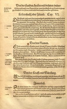 Bild der Seite - (00000690) - in Kreütter Buch - Darinn Underscheidt, Namen vnnd Würckung der Kreutter, Stauden, Hecken vnnd Beumen, sampt jhren Früchten, so inn Deutschen Landen wachsen