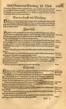 Bild der Seite - 368 - in Kreütter Buch - Darinn Underscheidt, Namen vnnd Würckung der Kreutter, Stauden, Hecken vnnd Beumen, sampt jhren Früchten, so inn Deutschen Landen wachsen