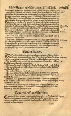 Bild der Seite - 378 - in Kreütter Buch - Darinn Underscheidt, Namen vnnd Würckung der Kreutter, Stauden, Hecken vnnd Beumen, sampt jhren Früchten, so inn Deutschen Landen wachsen