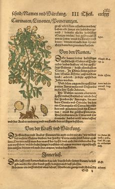 Image of the Page - 380 - in Kreütter Buch - Darinn Underscheidt, Namen vnnd Würckung der Kreutter, Stauden, Hecken vnnd Beumen, sampt jhren Früchten, so inn Deutschen Landen wachsen
