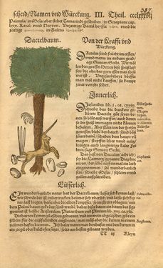 Image of the Page - 387 - in Kreütter Buch - Darinn Underscheidt, Namen vnnd Würckung der Kreutter, Stauden, Hecken vnnd Beumen, sampt jhren Früchten, so inn Deutschen Landen wachsen