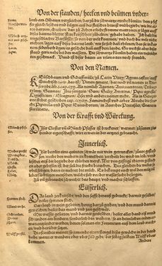 Bild der Seite - (00000765) - in Kreütter Buch - Darinn Underscheidt, Namen vnnd Würckung der Kreutter, Stauden, Hecken vnnd Beumen, sampt jhren Früchten, so inn Deutschen Landen wachsen