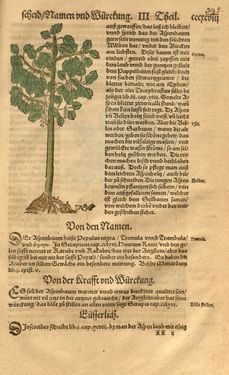 Image of the Page - 398 - in Kreütter Buch - Darinn Underscheidt, Namen vnnd Würckung der Kreutter, Stauden, Hecken vnnd Beumen, sampt jhren Früchten, so inn Deutschen Landen wachsen