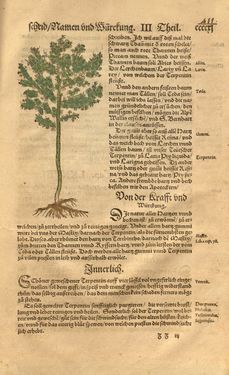 Image of the Page - 411 - in Kreütter Buch - Darinn Underscheidt, Namen vnnd Würckung der Kreutter, Stauden, Hecken vnnd Beumen, sampt jhren Früchten, so inn Deutschen Landen wachsen