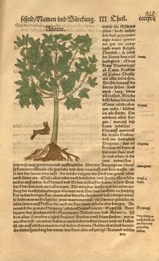 Bild der Seite - 413 - in Kreütter Buch - Darinn Underscheidt, Namen vnnd Würckung der Kreutter, Stauden, Hecken vnnd Beumen, sampt jhren Früchten, so inn Deutschen Landen wachsen