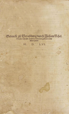 Bild der Seite - (00000808) - in Kreütter Buch - Darinn Underscheidt, Namen vnnd Würckung der Kreutter, Stauden, Hecken vnnd Beumen, sampt jhren Früchten, so inn Deutschen Landen wachsen