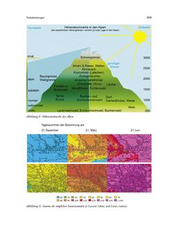 Image of the Page - 358 - in Die Alpen im Frühmittelalter - Die Geschichte eines Raumes in den Jahren 500 bis 800