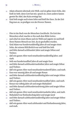 Image of the Page - 13 - in Die Bibel - Die ganze Heilige Schrift des Alten und Neuen Testaments