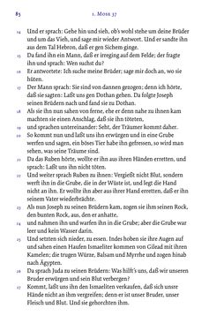Bild der Seite - 85 - in Die Bibel - Die ganze Heilige Schrift des Alten und Neuen Testaments
