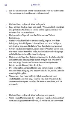 Image of the Page - 233 - in Die Bibel - Die ganze Heilige Schrift des Alten und Neuen Testaments