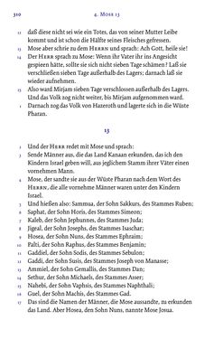 Image of the Page - 310 - in Die Bibel - Die ganze Heilige Schrift des Alten und Neuen Testaments