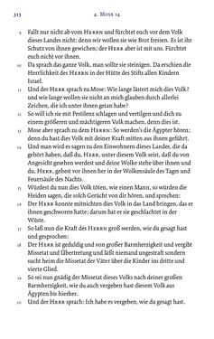 Image of the Page - 313 - in Die Bibel - Die ganze Heilige Schrift des Alten und Neuen Testaments