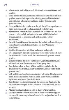 Image of the Page - 314 - in Die Bibel - Die ganze Heilige Schrift des Alten und Neuen Testaments