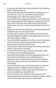 Bild der Seite - 389 - in Die Bibel - Die ganze Heilige Schrift des Alten und Neuen Testaments