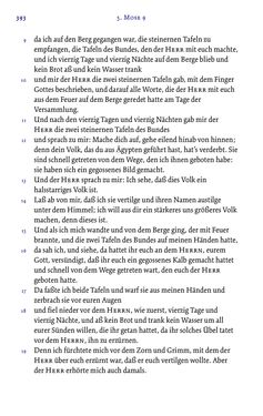 Bild der Seite - 393 - in Die Bibel - Die ganze Heilige Schrift des Alten und Neuen Testaments