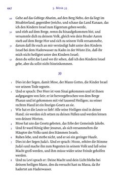 Bild der Seite - 447 - in Die Bibel - Die ganze Heilige Schrift des Alten und Neuen Testaments