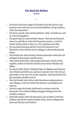 Image of the Page - 505 - in Die Bibel - Die ganze Heilige Schrift des Alten und Neuen Testaments