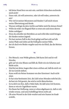 Bild der Seite - 1065 - in Die Bibel - Die ganze Heilige Schrift des Alten und Neuen Testaments