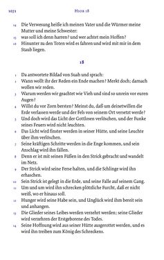 Bild der Seite - 1071 - in Die Bibel - Die ganze Heilige Schrift des Alten und Neuen Testaments