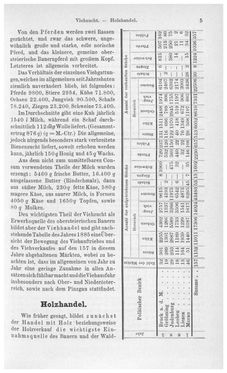 Image of the Page - 5 - in Die eherne Mark - Eine Wanderung durch das steirische Oberland, Volume 1