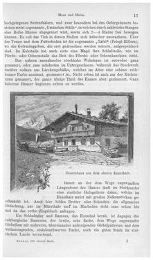 Image of the Page - 17 - in Die eherne Mark - Eine Wanderung durch das steirische Oberland, Volume 1