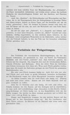 Image of the Page - 24 - in Die eherne Mark - Eine Wanderung durch das steirische Oberland, Volume 1