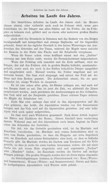 Image of the Page - 25 - in Die eherne Mark - Eine Wanderung durch das steirische Oberland, Volume 1