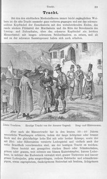 Image of the Page - 39 - in Die eherne Mark - Eine Wanderung durch das steirische Oberland, Volume 1