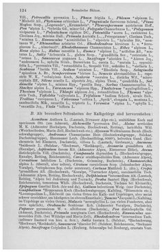 Image of the Page - 124 - in Die eherne Mark - Eine Wanderung durch das steirische Oberland, Volume 1