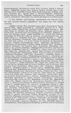 Image of the Page - 125 - in Die eherne Mark - Eine Wanderung durch das steirische Oberland, Volume 1