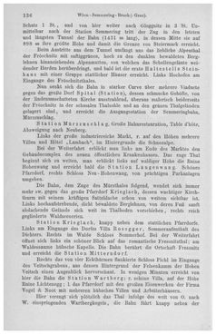 Image of the Page - 136 - in Die eherne Mark - Eine Wanderung durch das steirische Oberland, Volume 1