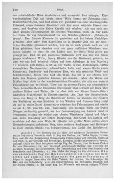 Bild der Seite - 230 - in Die eherne Mark - Eine Wanderung durch das steirische Oberland, Band 1