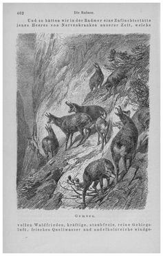 Image of the Page - 462 - in Die eherne Mark - Eine Wanderung durch das steirische Oberland, Volume 1