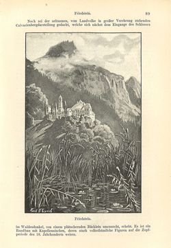 Image of the Page - 89 - in Die eherne Mark - Eine Wanderung durch das steirische Oberland, Volume 2