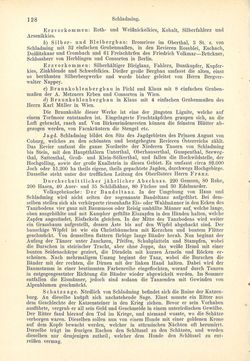 Image of the Page - 128 - in Die eherne Mark - Eine Wanderung durch das steirische Oberland, Volume 2