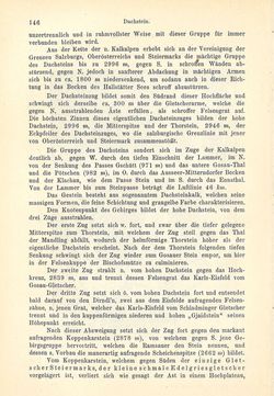 Bild der Seite - 146 - in Die eherne Mark - Eine Wanderung durch das steirische Oberland, Band 2