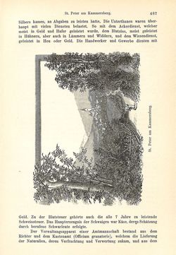Image of the Page - 487 - in Die eherne Mark - Eine Wanderung durch das steirische Oberland, Volume 2