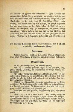 Bild der Seite - 21 - in Die Giftgewächse der österreichischen Alpenländer