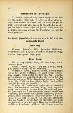 Image of the Page - 22 - in Die Giftgewächse der österreichischen Alpenländer