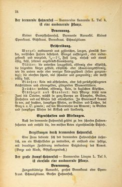 Image of the Page - 24 - in Die Giftgewächse der österreichischen Alpenländer