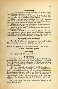 Image of the Page - 25 - in Die Giftgewächse der österreichischen Alpenländer