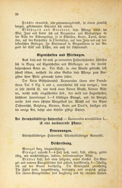 Image of the Page - 26 - in Die Giftgewächse der österreichischen Alpenländer