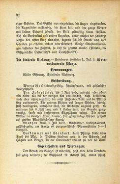 Image of the Page - 32 - in Die Giftgewächse der österreichischen Alpenländer