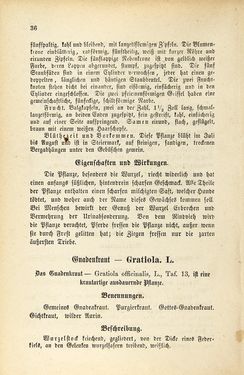 Image of the Page - 36 - in Die Giftgewächse der österreichischen Alpenländer