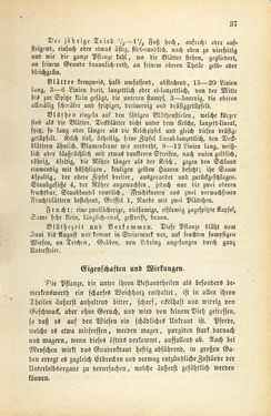 Image of the Page - 37 - in Die Giftgewächse der österreichischen Alpenländer