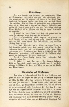 Image of the Page - 76 - in Die Giftgewächse der österreichischen Alpenländer